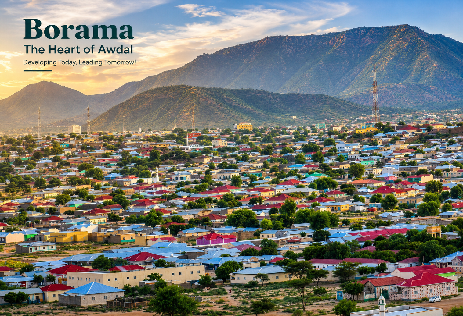 Safari Borama
